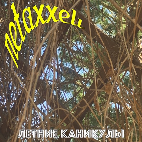 NETAXXELI