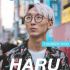HARU | 07.11 | АВРОРА СПб