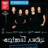 18 ноября – ANIMAL ДЖАZ @ Aurora Concert Hall